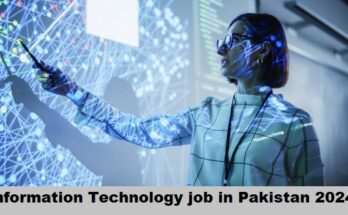 Information Technology Job in Pakistan 2024